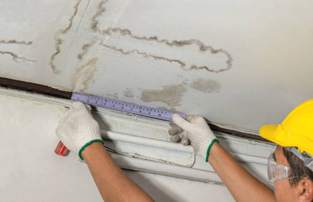 Reliable Mold Remediation contractor in Garrison, TX by Water Damage Irwin